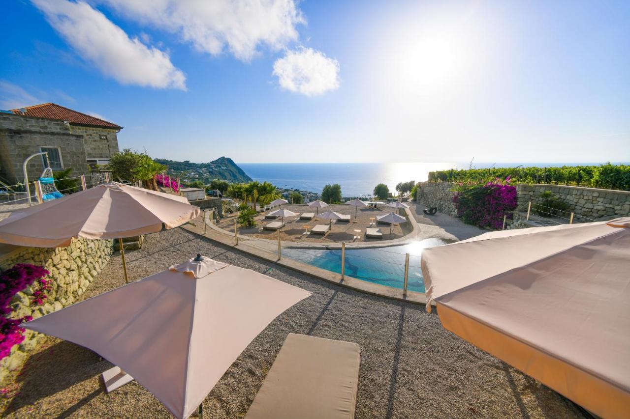 Tenuta C'Est La Vie Forio di Ischia Exterior foto